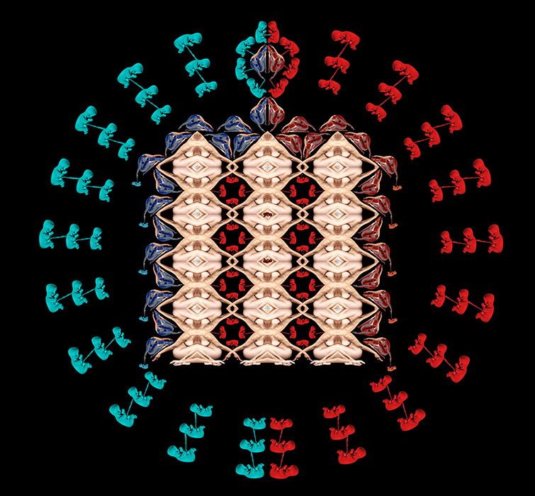 forms-and-abstractions