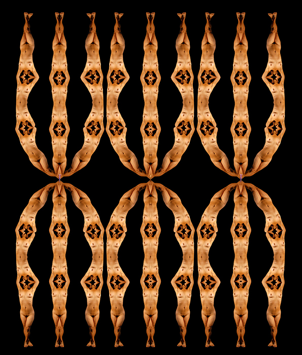 forms-and-abstractions